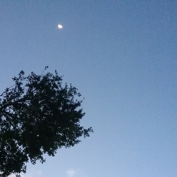 Meet your Posher, Emivlogs - Picture 1 of 1